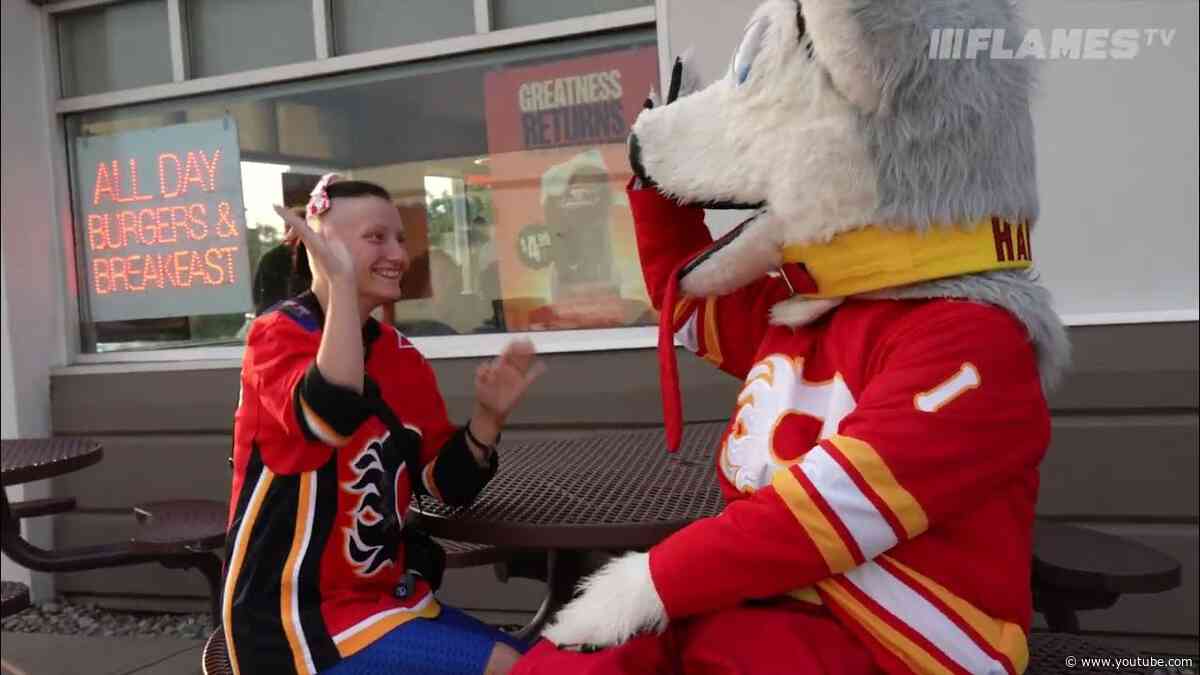 Lending A Helping Paw