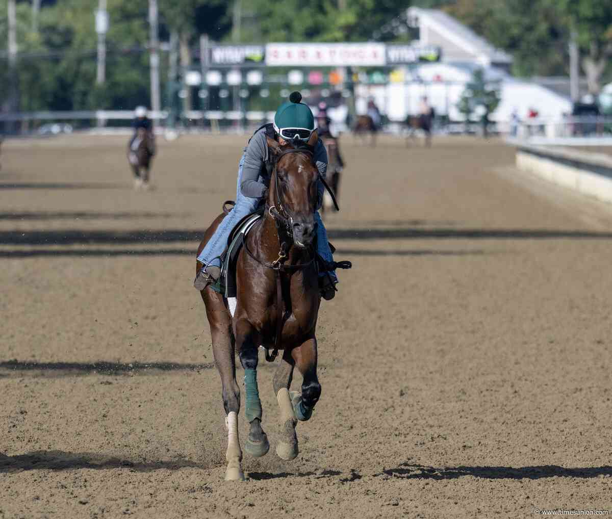 Lindsay Schultz's Baby Vino chasing after rare Haskell-Travers double at Saratoga
