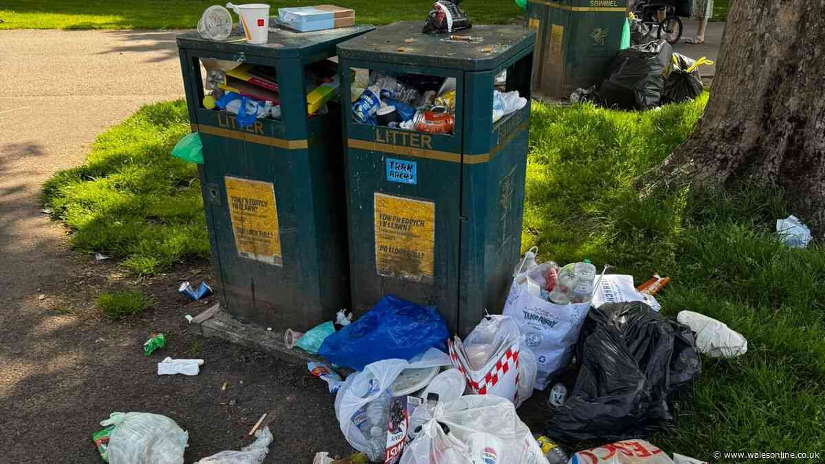 Every litter bin removed in Cardiff as locals bemoan 'endless pit of rubbish'