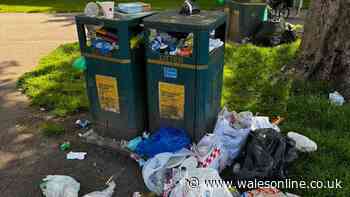 Every litter bin removed in Cardiff as locals bemoan 'endless pit of rubbish'