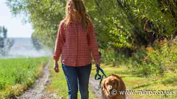 Woman with walking knee pain says she 'feels so much better' using 15% off balm