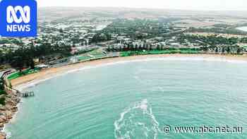 Popular beach predicted to shrink by 12 metres as tides rise