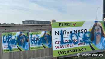 'This is not who we are in Waverley West': City council candidates' campaign signs defaced with graffiti