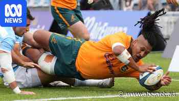 Live: Wallabies win tense Test in Argentina as coach Kiss remains unbeaten