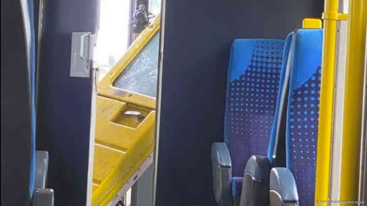 Mum watched in horror as delivery driver was killed in train crash