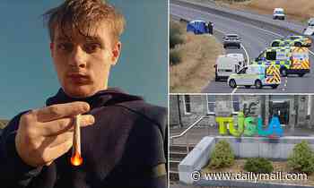 'How do I keep him at home... tie him up?' Mother of M9 crash teen Kamil Pustkowski reveals the insane Catch 22 that meant TUSLA wouldn't help her as he spiralled out of control