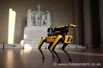 ICE plans to spend up to $2M on robot dogs