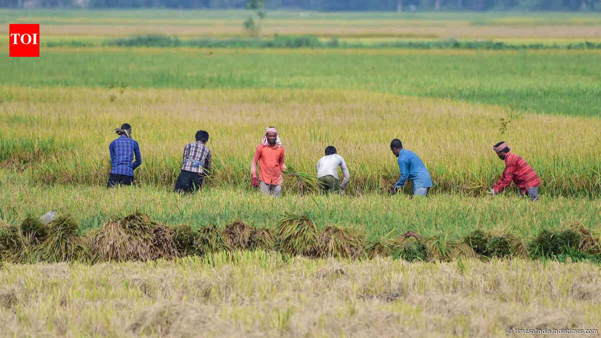 August rainfall fails to reduce India's monsoon deficit