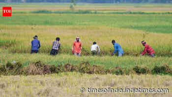 August rainfall fails to reduce India's monsoon deficit