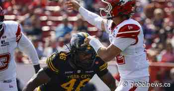 Stampeders score late for 28-23 win over Ticats