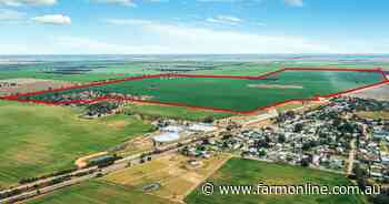 Hands off our lentil crop, strict proviso on Victorian block's sale