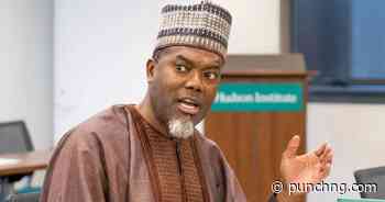 Peller a ‘money spinner’ – Omokri