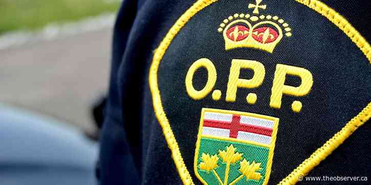 Body of missing swimmer found: police