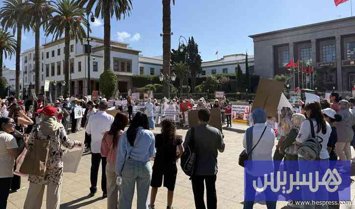 احتجاج على منع إطعام حيوانات الشوارع