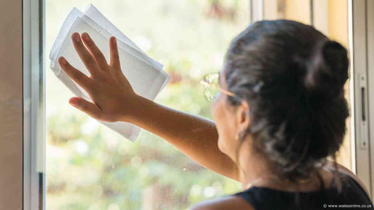 Clean windows with a 6p kitchen staple that leaves glass 'sparkling'