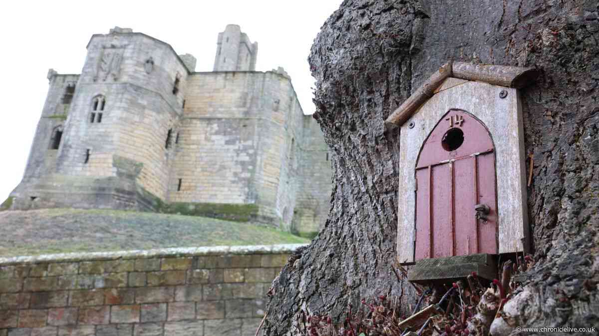 The Northumberland village steeped in historical charm attracting tourists far and wide