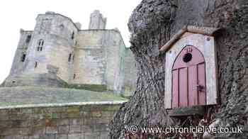 The Northumberland village steeped in historical charm attracting tourists far and wide
