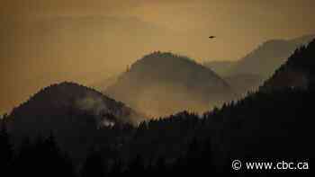 B.C. regional district lifts last of its evacuation orders for Ainslie Creek wildfire