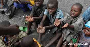 Northern states record 185,502 rise in child malnutrition cases