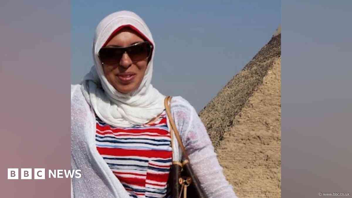 Woman detained in Egypt over 'sister's activism'