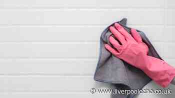 Whiten badly stained grout in under 5 minutes with 1 natural method cleaner loves