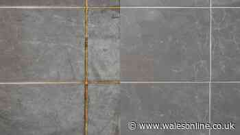 Easiest method to clean grout in under 5 minutes uses 1 natural solution – no scrubbing