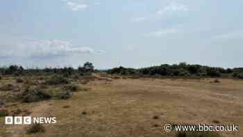 The forgotten legacy of New Forest's WW2 airfields
