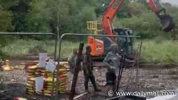 'Travellers' rip up wildlife haven with diggers and heavy machinery as they wage Bank Holiday 'land grab' while council offices are closed