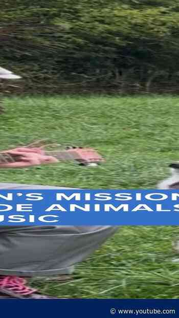 One man's mission to serenade animals with music