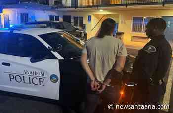 10 arrested in human‑trafficking crackdown in Anaheim