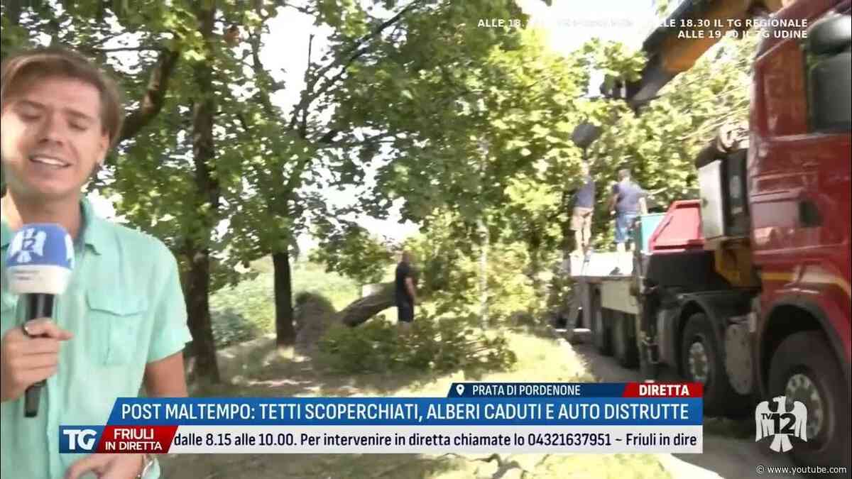 TG FRIULI IN DIRETTA | 29/08/2026