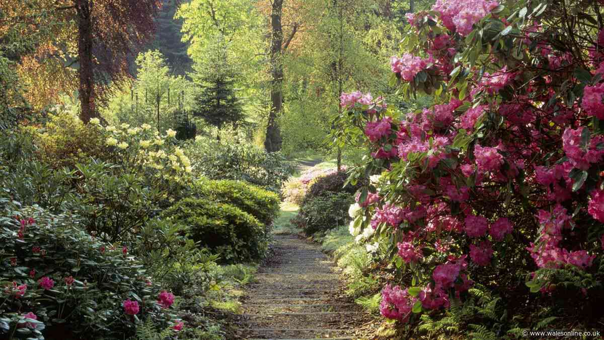 Pembrokeshire valley has secret walled garden, old mine shaft, and 900 acres of woodland