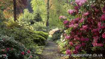 Pembrokeshire valley has secret walled garden, old mine shaft, and 900 acres of woodland