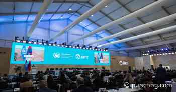 UNCCD COP17: Nations pledge $1.3bn to tackle drought, land degradation