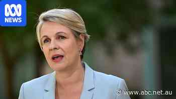 Plibersek indicates support for ban on choking in pornography