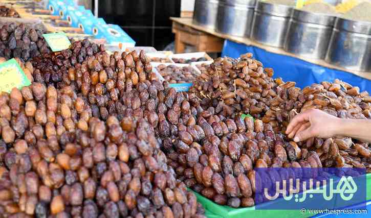 مناطق التمور بالمغرب تبشّر بزيادة في المحاصيل خلال الموسم المقبل