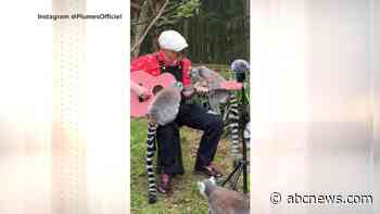WATCH:  Why 1 man is serenading animals across the globe
