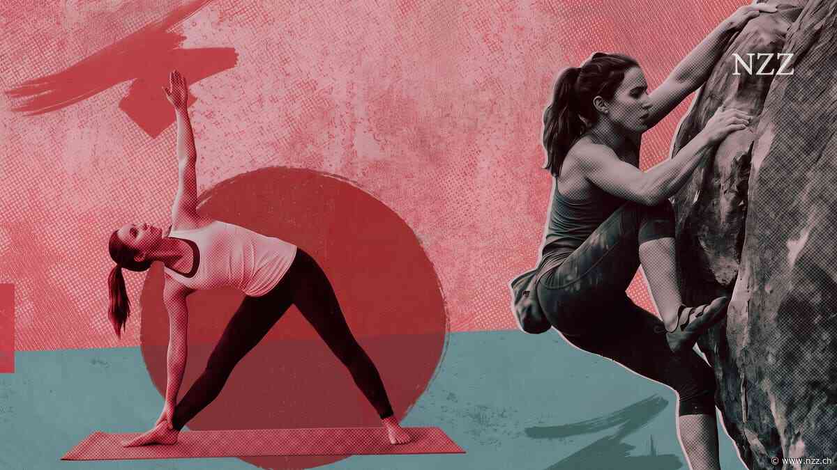 Sicher die Wände hoch – so vermeiden Sie Fehler beim Klettern