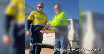 Grains worker celebrates 50 year milestone in the same job he started in
