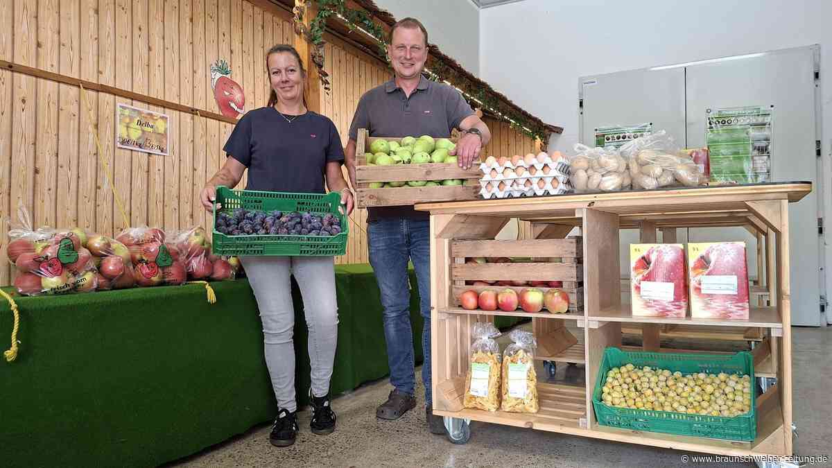 Zu viel Sonne für den Apfel: Wie ein Obsthof im Land Kreis Wolfenbüttel umdenkt