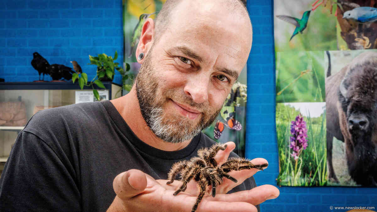 Spinnen kruipen massaal naar binnen: straks zitten er zo’n 200 in jouw huis (en weg krijg je ze niet)