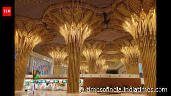 Guwahati Airport Sky Forest: Terminal becomes ‘living forest’ with bamboo orchids; nearly one lakh plants