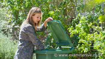 Lawyer explains your legal rights if neighbour keeps putting rubbish in your bin