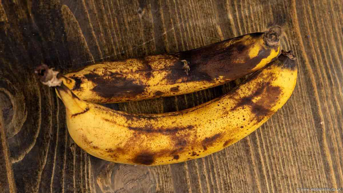 Bananas turn brown and soft fast when stored in 1 area of kitchen