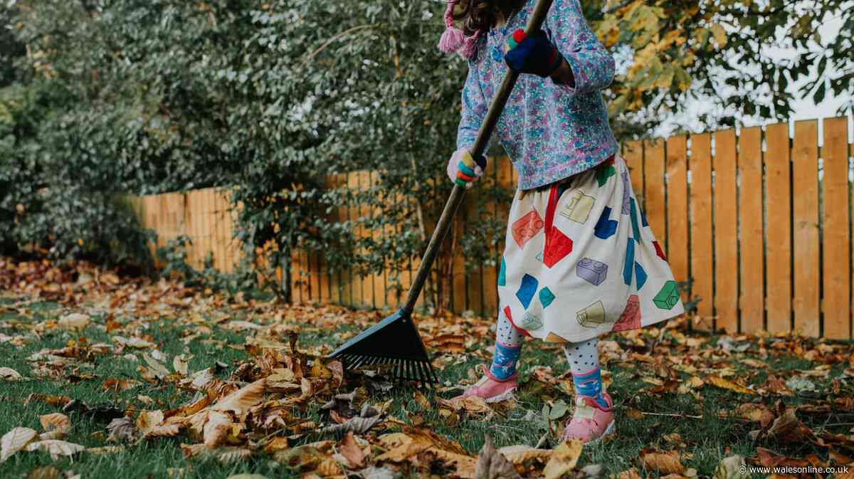 'Lawns stay healthy' with job all gardeners should do first thing in September