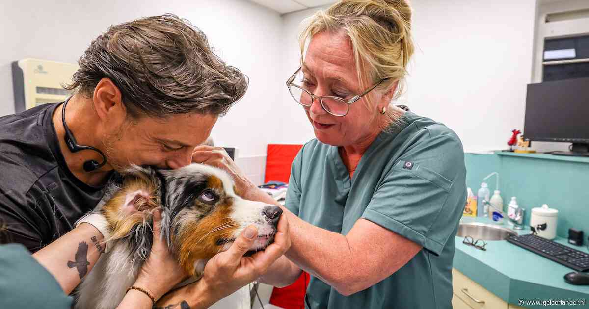 Niet vaccineren van huisdieren is óók een risico voor jou: van deze infectie door poep kun je ernstig ziek worden