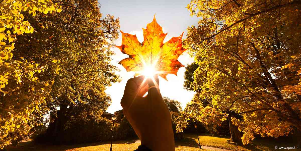 Herfst in augustus: is dit het nieuwe normaal?