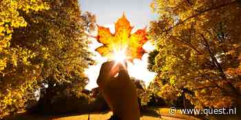 Herfst in augustus: is dit het nieuwe normaal?