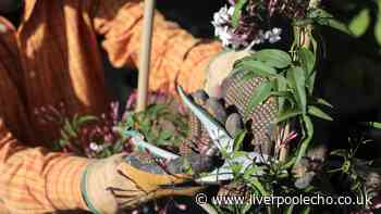 Brits warned to avoid one popular gardening job until September
