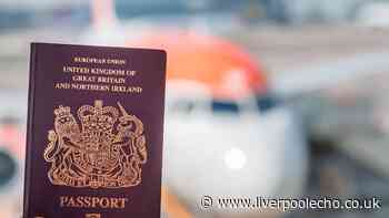 I asked travel experts what happens if you lose your passport at the airport - they all agreed